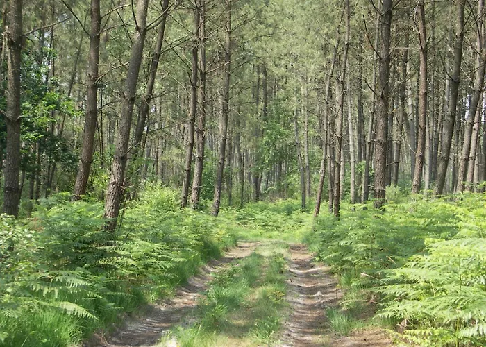 La Brande Casa vacanze Brocas